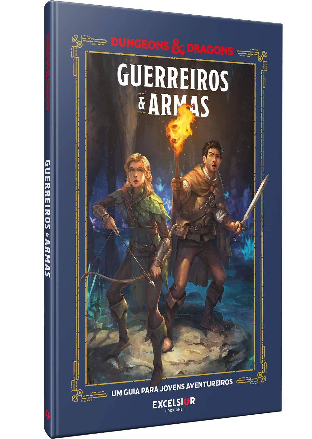 Dungeons & Dragons: Guerreiros e Armas baixar o livro de graça