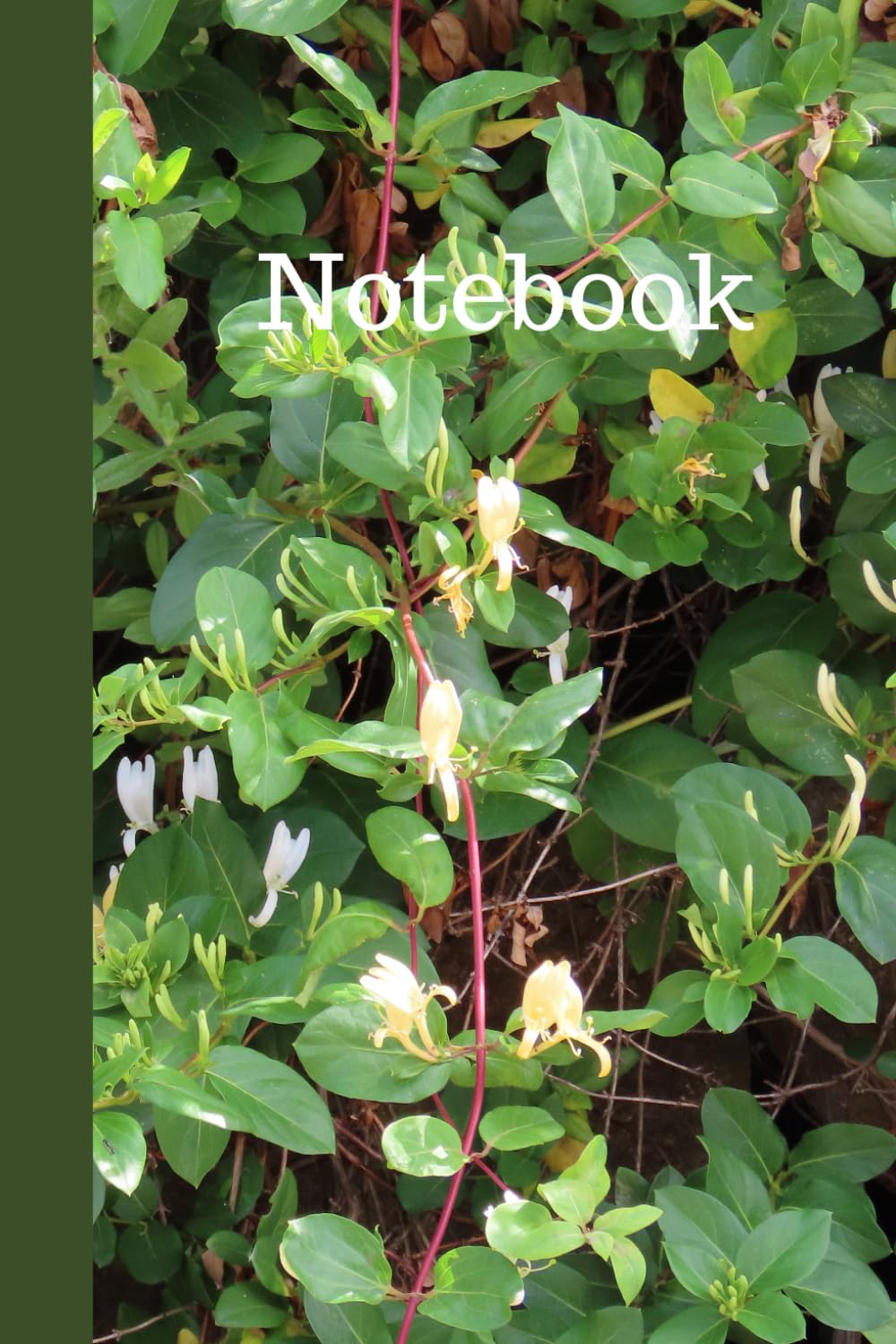 Notebook: Honeysuckle, Original Art Photograph Cover, 120 Lined Pages, 6" x 9" baixar livro de graça