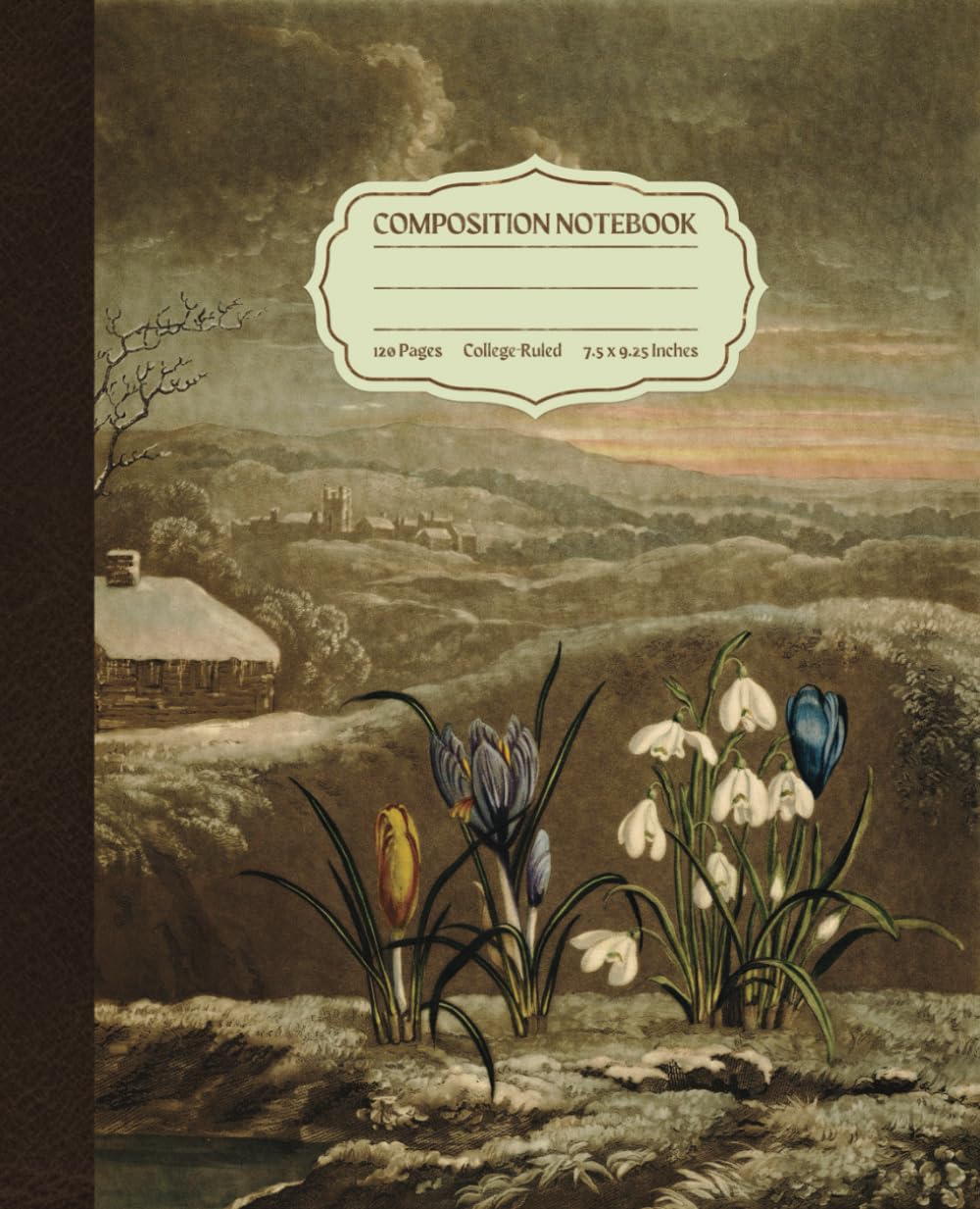 Composition Notebook: Vintage Illustration of Snowdrops and Crocus, Cream Paper, College-Ruled Wide Lined, Cute Aesthetic Lined Notebook Ideal for Journaling, Note-Taking, or Sketching & More baixar livro de graça