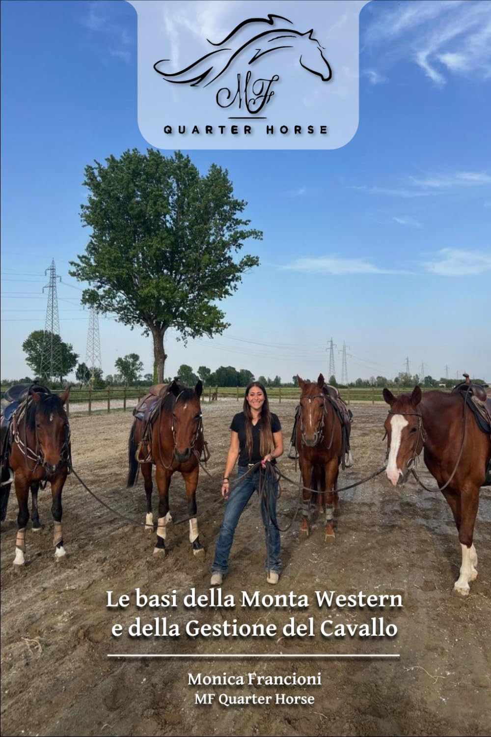 Le basi della Monta Western e della Gestione del Cavallo: Guida pratica che unisce teoria, esperienza, curiosità e consigli per costruire solide basi nel mondo dell'equitazione. (Italian Edition) baixar livro de graça