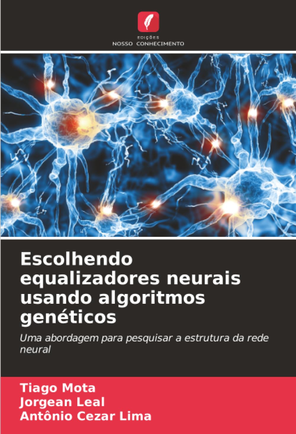 Escolhendo equalizadores neurais usando algoritmos genéticos: Uma abordagem para pesquisar a estrutura da rede neural baixar livro de graça