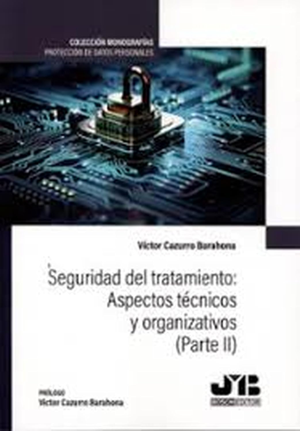capítulo por capítulo baixar Seguridad del tratamiento: Aspectos técnicos y organizativos (Parte II) (Spanish Edition)