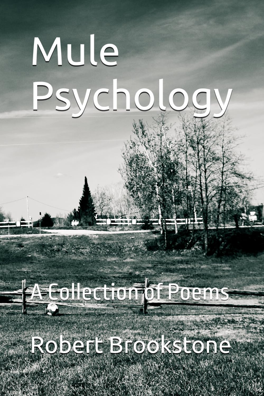 Mule Psychology: A Collection of Poems baixar livro de graça