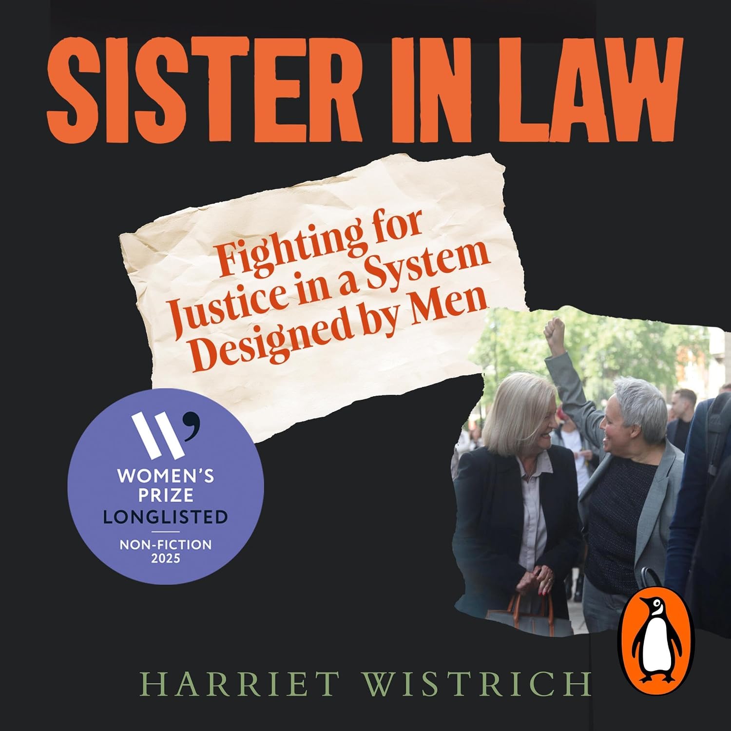 Sister in Law: Shocking true stories of fighting for justice in a legal system designed by men baixar livro de graça
