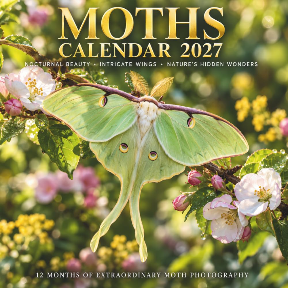 Moths Calendar 2027: Nocturnal Beauty • Intricate Wings • Nature’s Hidden Wonders
