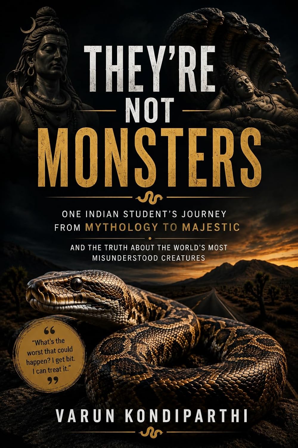 ler totalmente They're Not Monsters (English Edition)