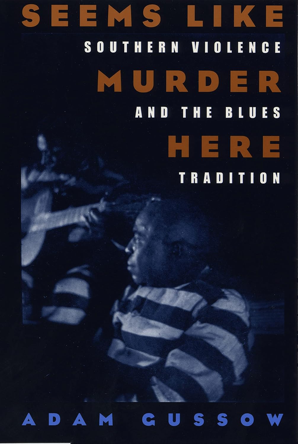 Seems Like Murder Here: Southern Violence and the Blues Tradition (English Edition) baixar o livro de graça
