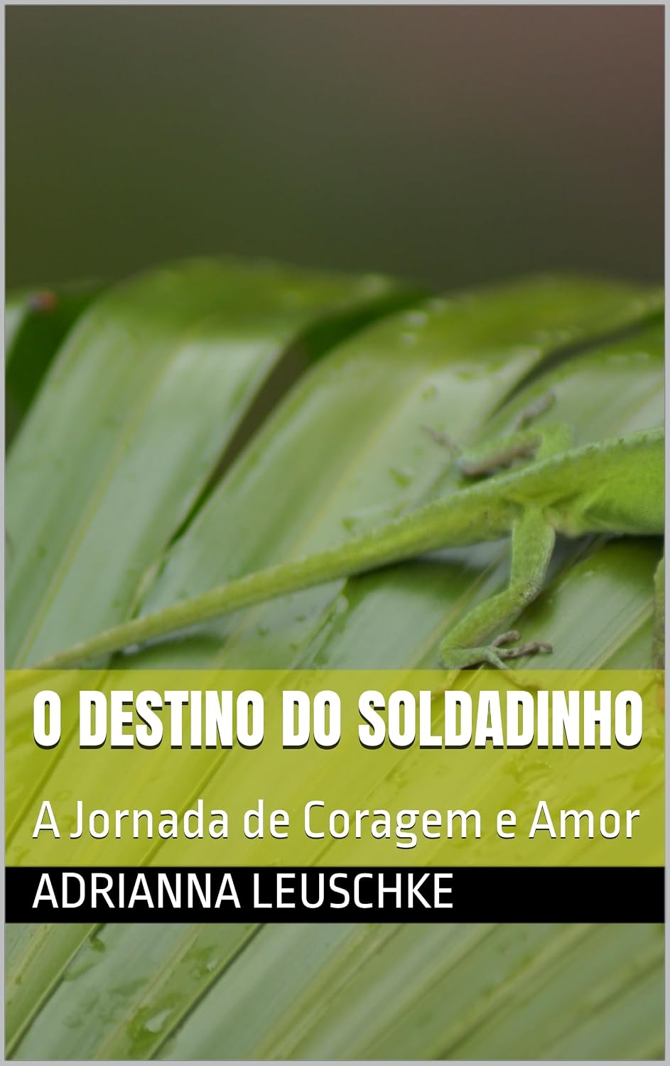 O Destino do Soldadinho: A Jornada de Coragem e Amor baixar livro de graça