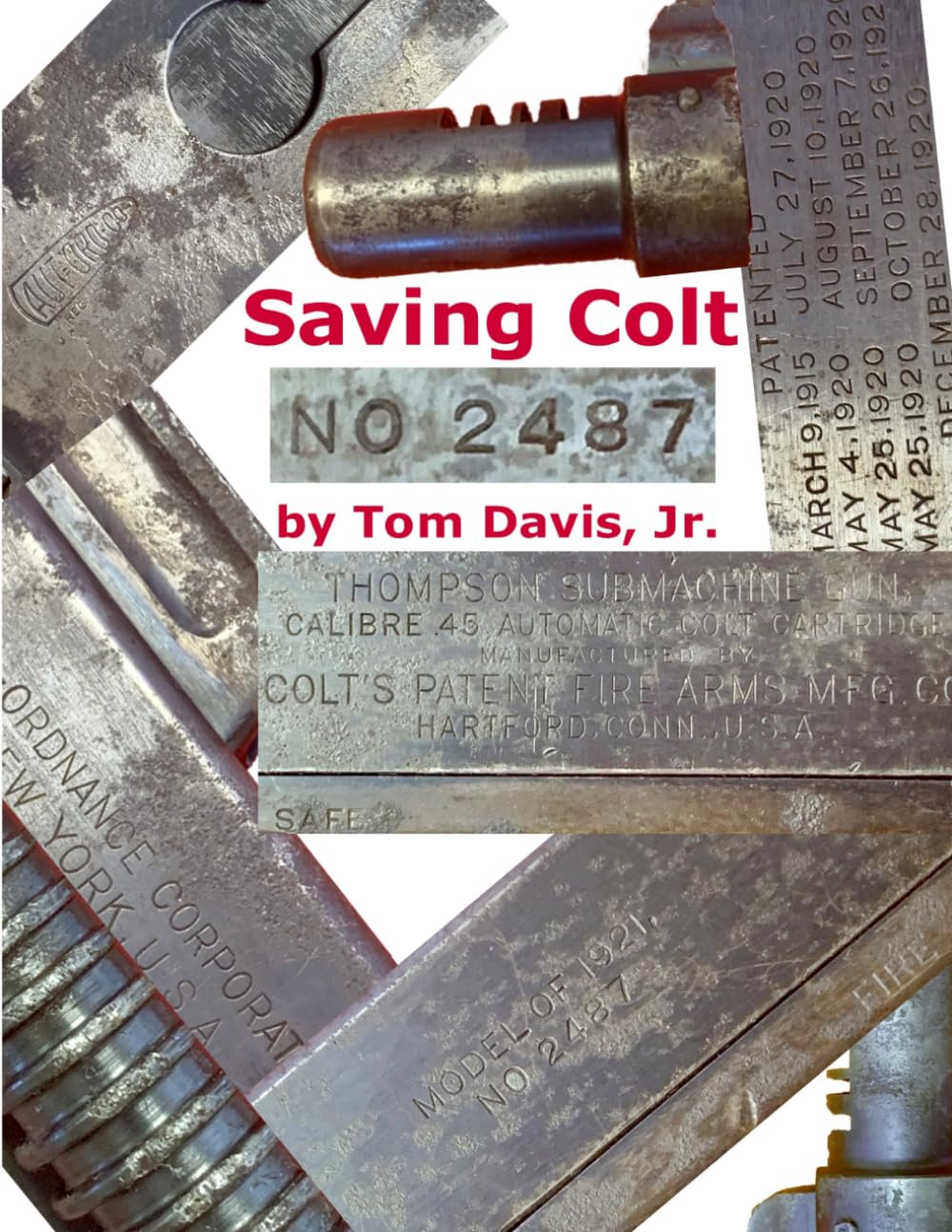 Saving Colt NO 2487 baixar o livro de graça