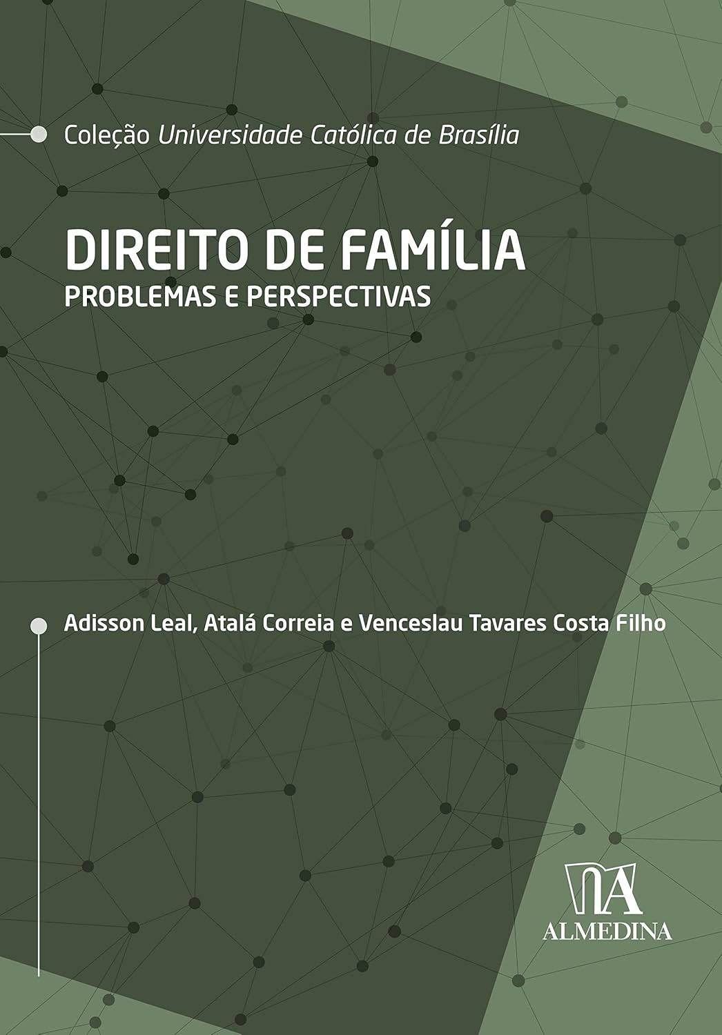 Direito de Família: Problemas e Perspectivas baixar o livro de graça