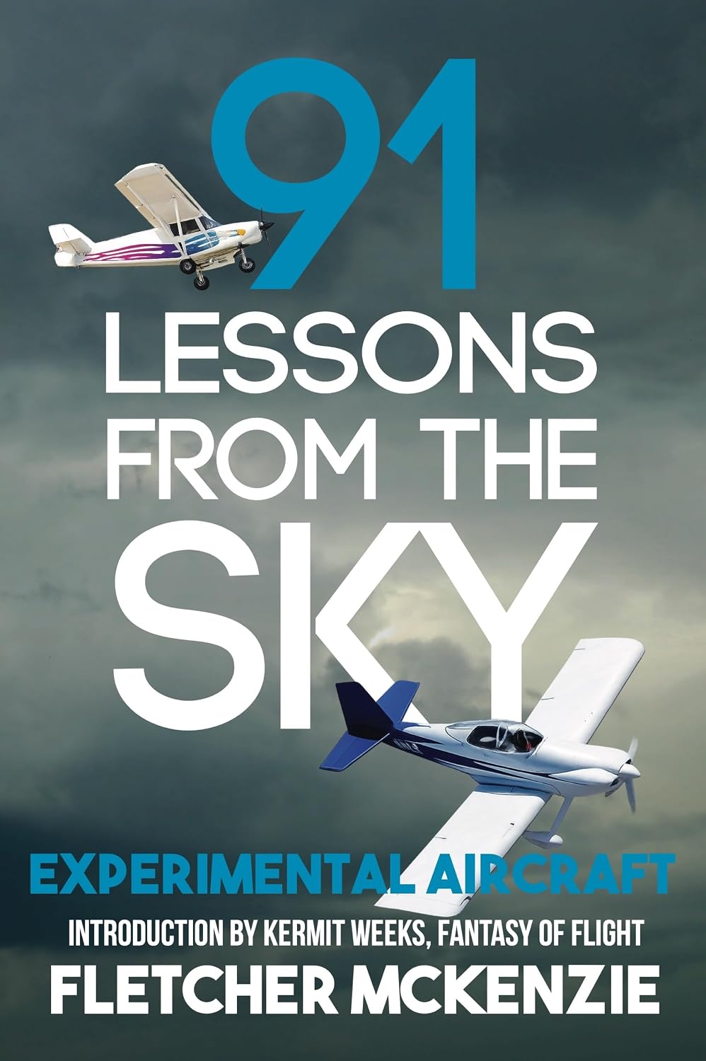ler totalmente 91 Lessons From The Sky: Experimental Aircraft (English Edition)