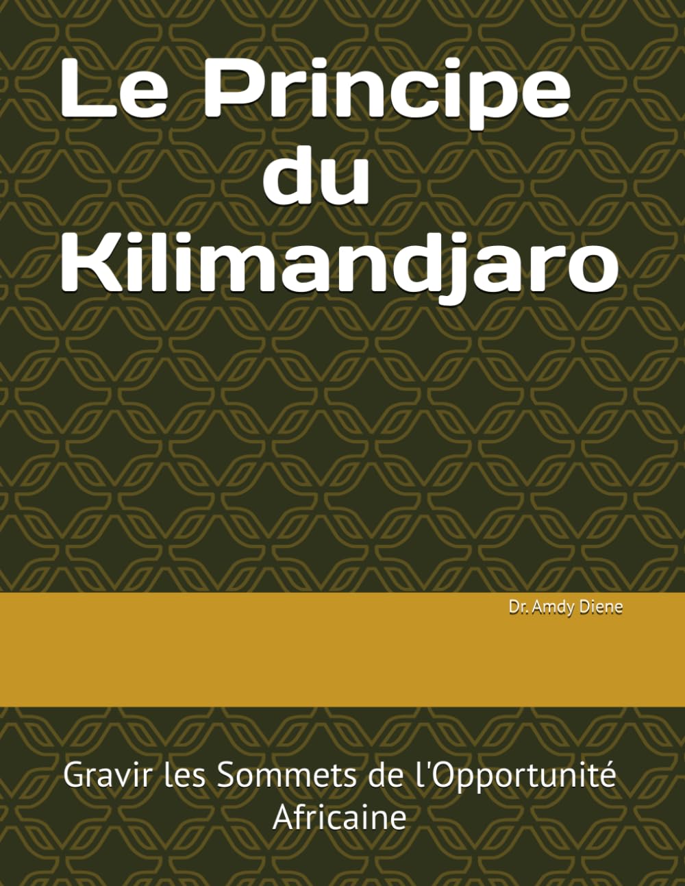 Le Principe du Kilimandjaro: Gravir les Sommets de l'Opportunité Africaine (French Edition) baixar livro de graça