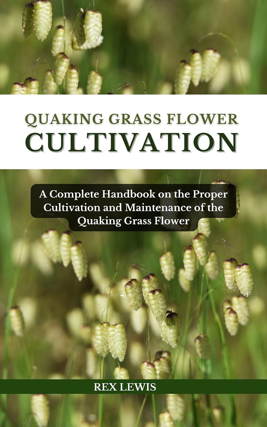 Quaking Grass Flower Cultivation: A Complete Handbook on the Proper Cultivation and Maintenance of the Quaking Grass Flower (English Edition) baixar o livro de graça