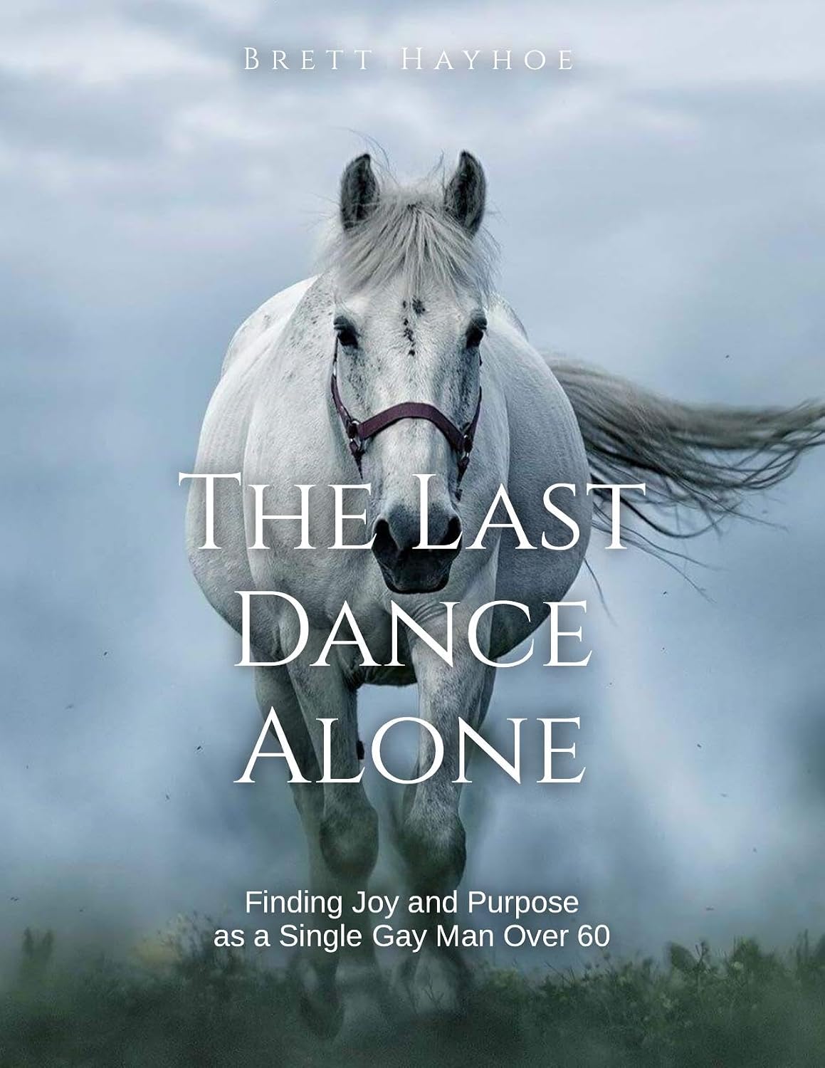 Last Dance Alone: Finding Joy and Happiness As a Gay Man Over 60 (English Edition) baixar o livro de graça