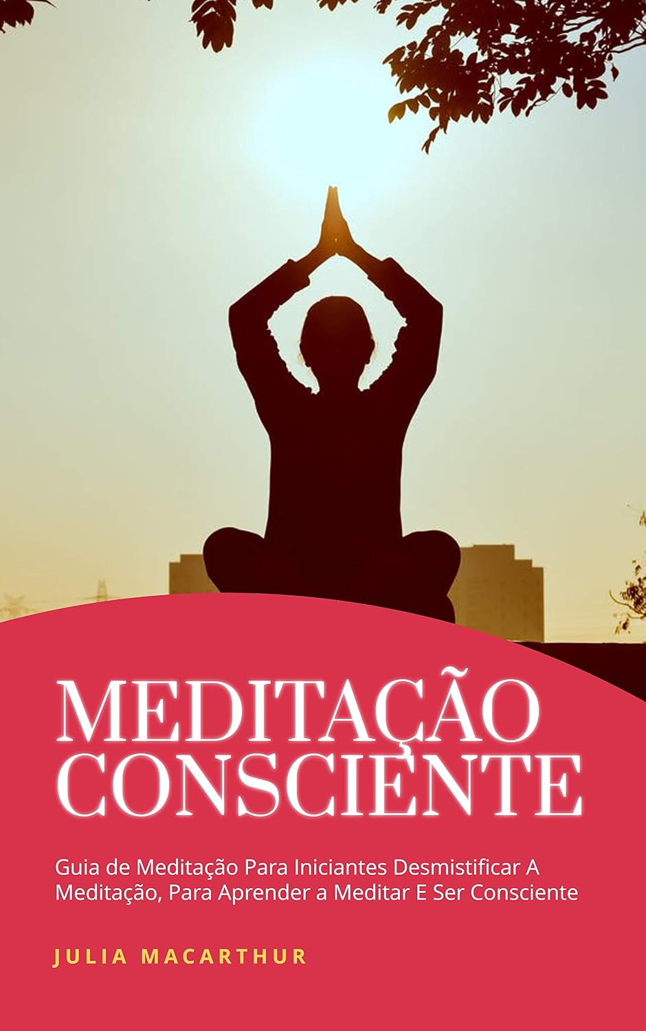 Meditação Consciente: Guia De Meditação Para Iniciantes Desmistificar A Meditação, Para Aprender A Meditar E Ser Consciente baixar o livro de graça