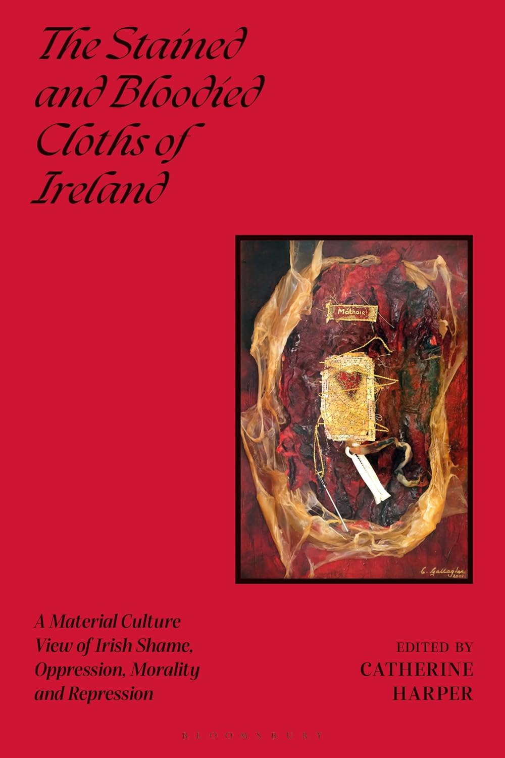 capítulo por capítulo baixar The Stained and Bloodied Cloths of Ireland: A Material Culture View of Irish Shame, Oppression, Morality and Repression (English Edition)