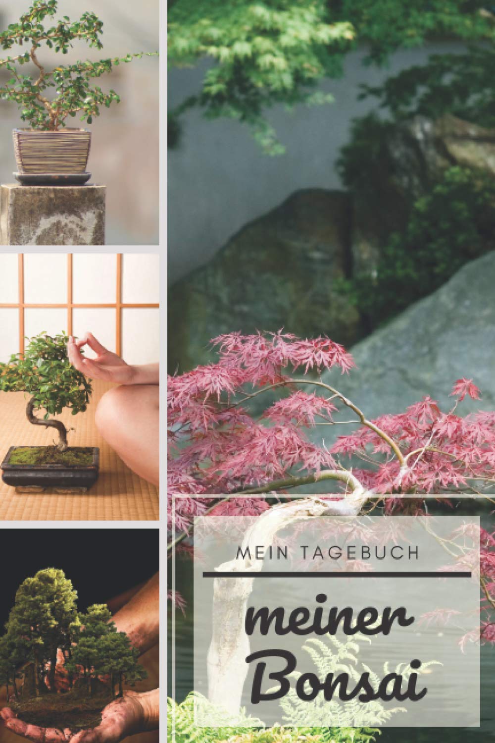 ler totalmente Das Tagebuch meines Bonsais: Diese Zeitschrift ermöglicht es Ihnen, das Wachstum Ihres Bonsai im Laufe der Zeit zu verfolgen. Dies ist ein ideales Logbuch, das Folgendes bietet