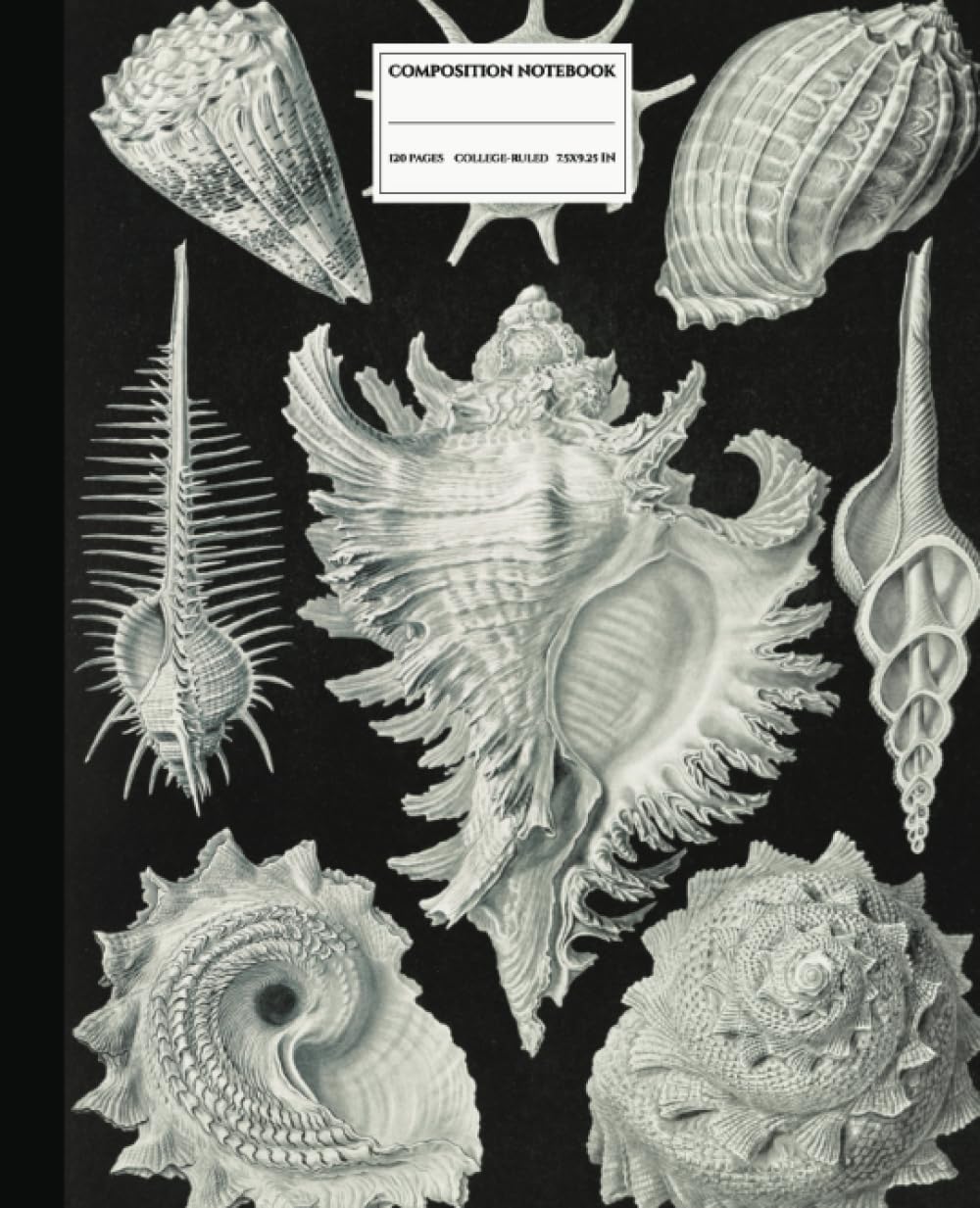 ler totalmente Composition Notebook College Ruled: Shells of the Sea: Book One - An Ernst Haeckel Inspired Journal: |Perfect For Girls, Boys, Teens, Women, Men, Marine Life Enthusiast Artists, and Students