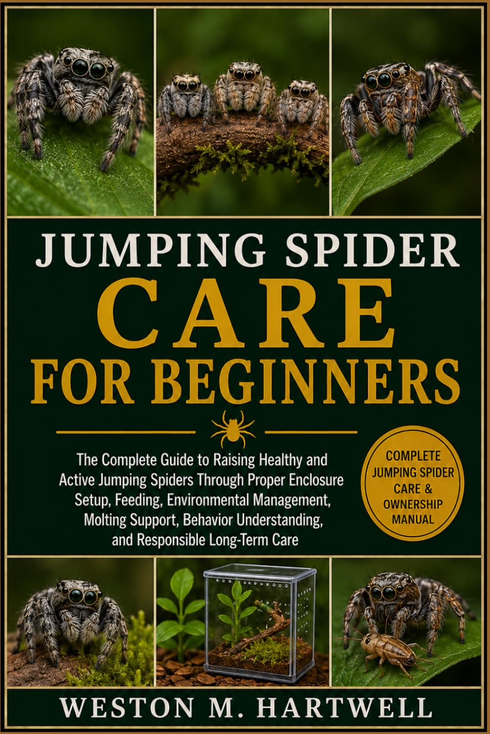 capítulo por capítulo baixar Jumping Spider Care for Beginners: The Complete Guide to Raising Healthy and Active Jumping Spiders Through Proper Enclosure Setup, Feeding,... Understanding, and Responsible Long-Term Care
