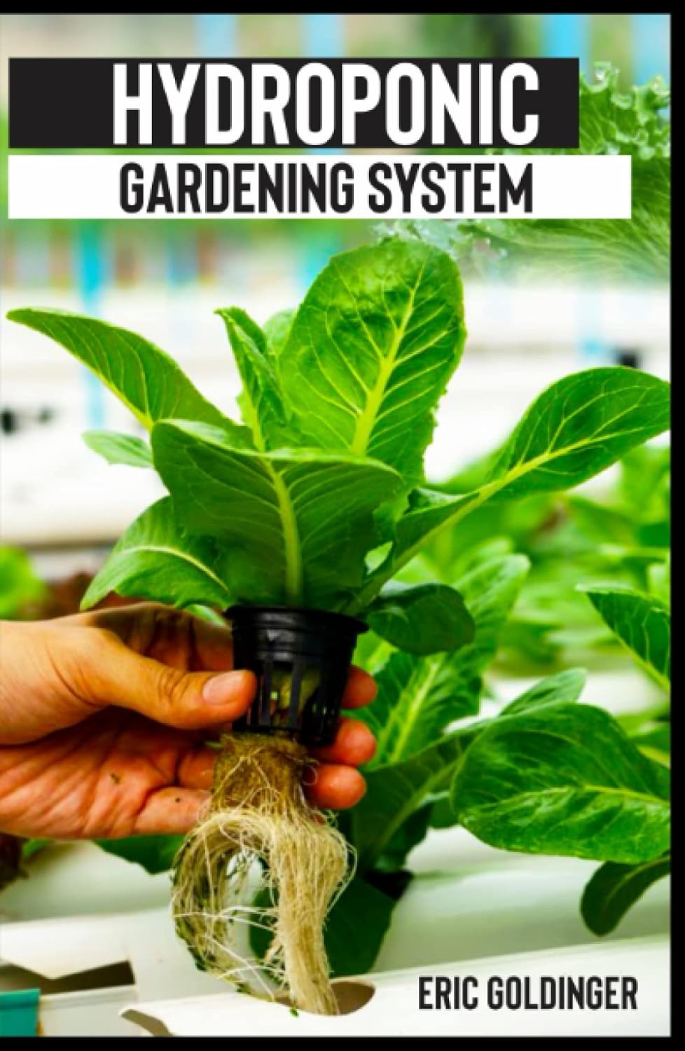 HYDROPONICS GARDENING SYSTEM: Easy and Affordable Ways to Build Your Own Hydroponic Garden baixar o livro de graça