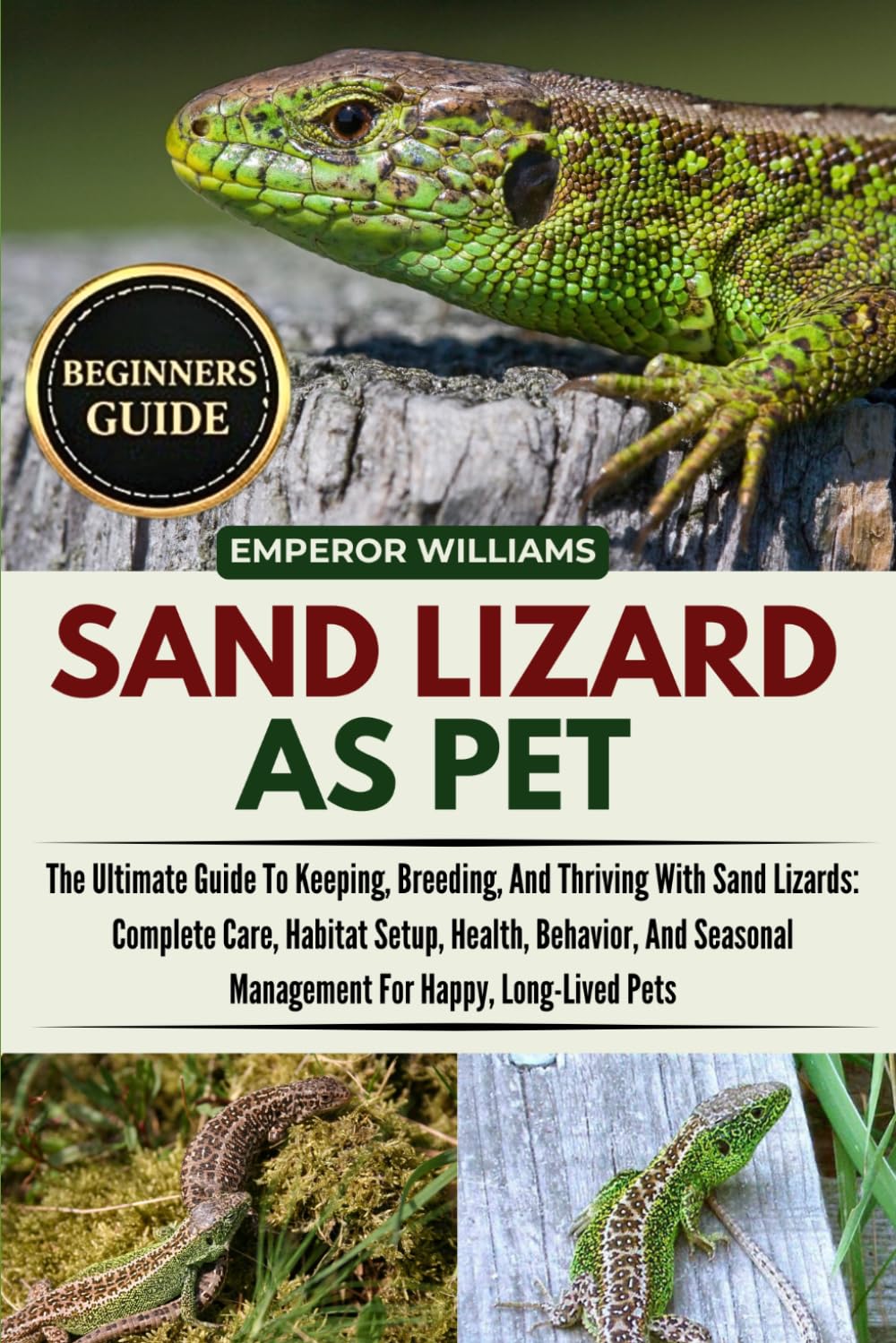 ler totalmente SAND LIZARD AS PET: The Ultimate Guide To Keeping, Breeding, And Thriving With Sand Lizards: Complete Care, Habitat Setup, Health, Behavior, And Seasonal Management For Happy, Long-Lived Pets
