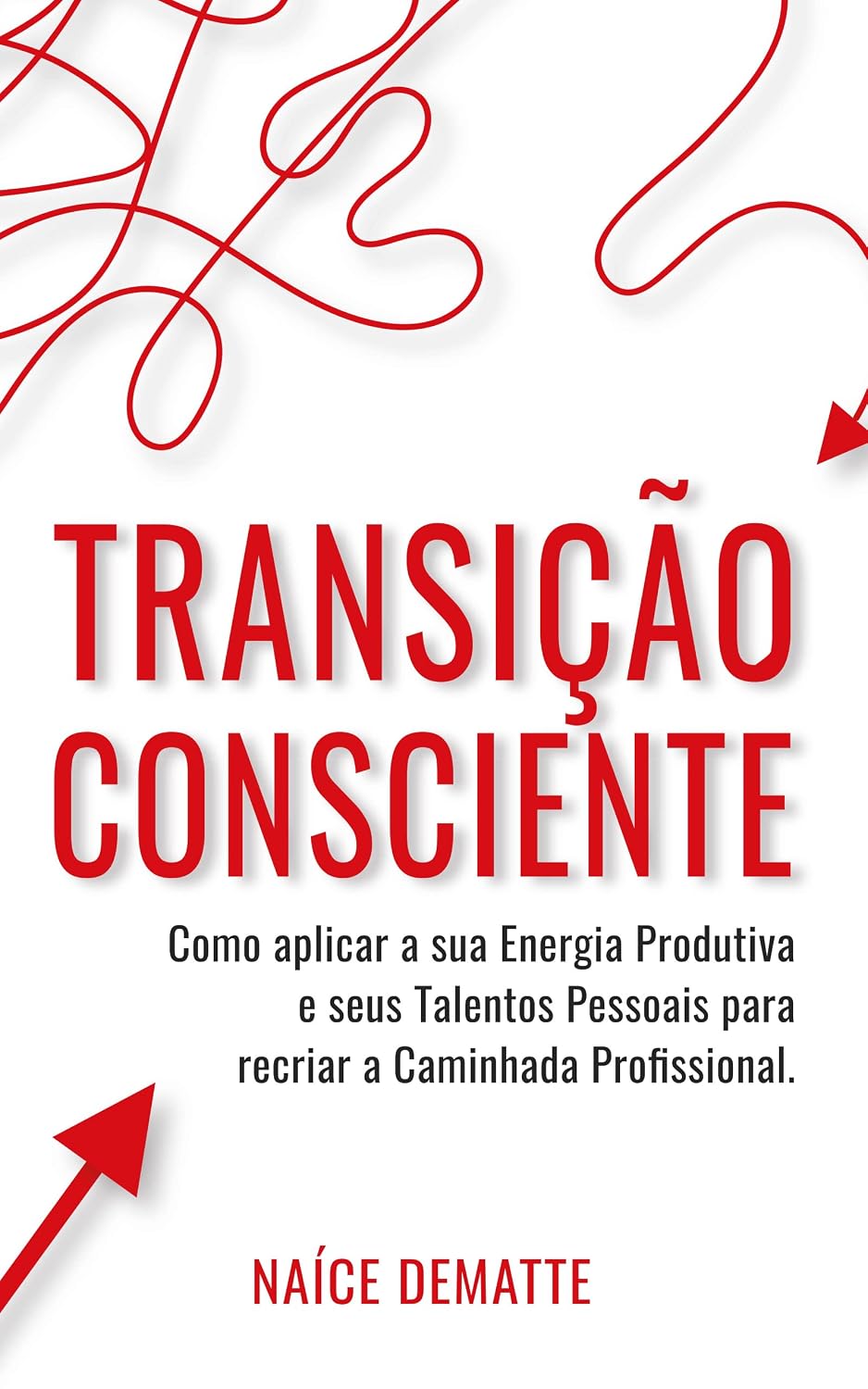 Transição Consciente: Como Aplicar sua Energia Produtiva e seus Talentos Pessoais para Recriar a Caminhada Profissional baixar o livro de graça