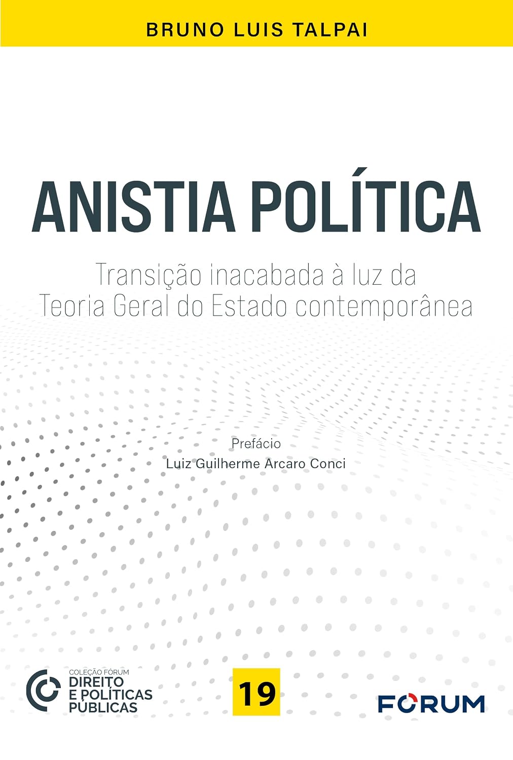 ler totalmente Anistia política: transição inacabada à luz da teoria geral do estado contemporânea: 19