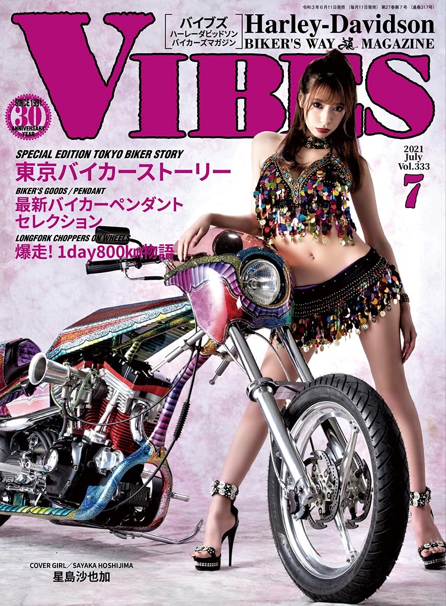 ler totalmente VIBES: volumeThreehundredthirtythree (Japanese Edition)