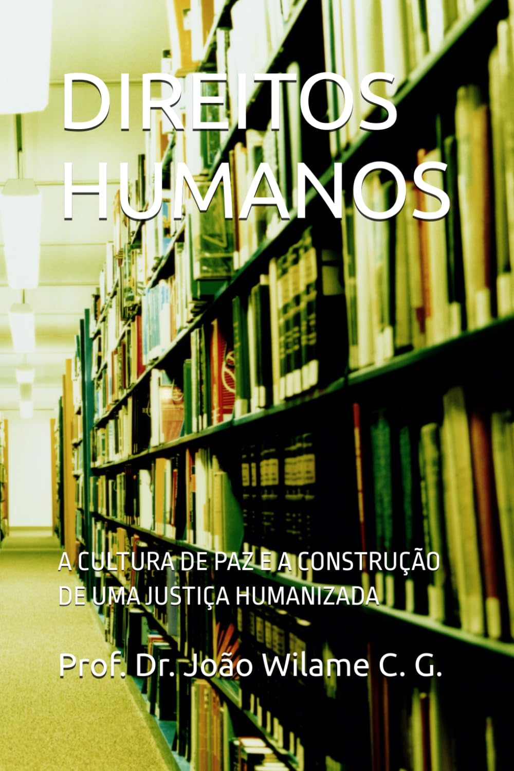 capítulo por capítulo baixar DIREITOS HUMANOS.: A CULTURA DE PAZ E A CONSTRUÇÃO DE UMA JUSTIÇA HUMANIZADA (Portuguese Edition)