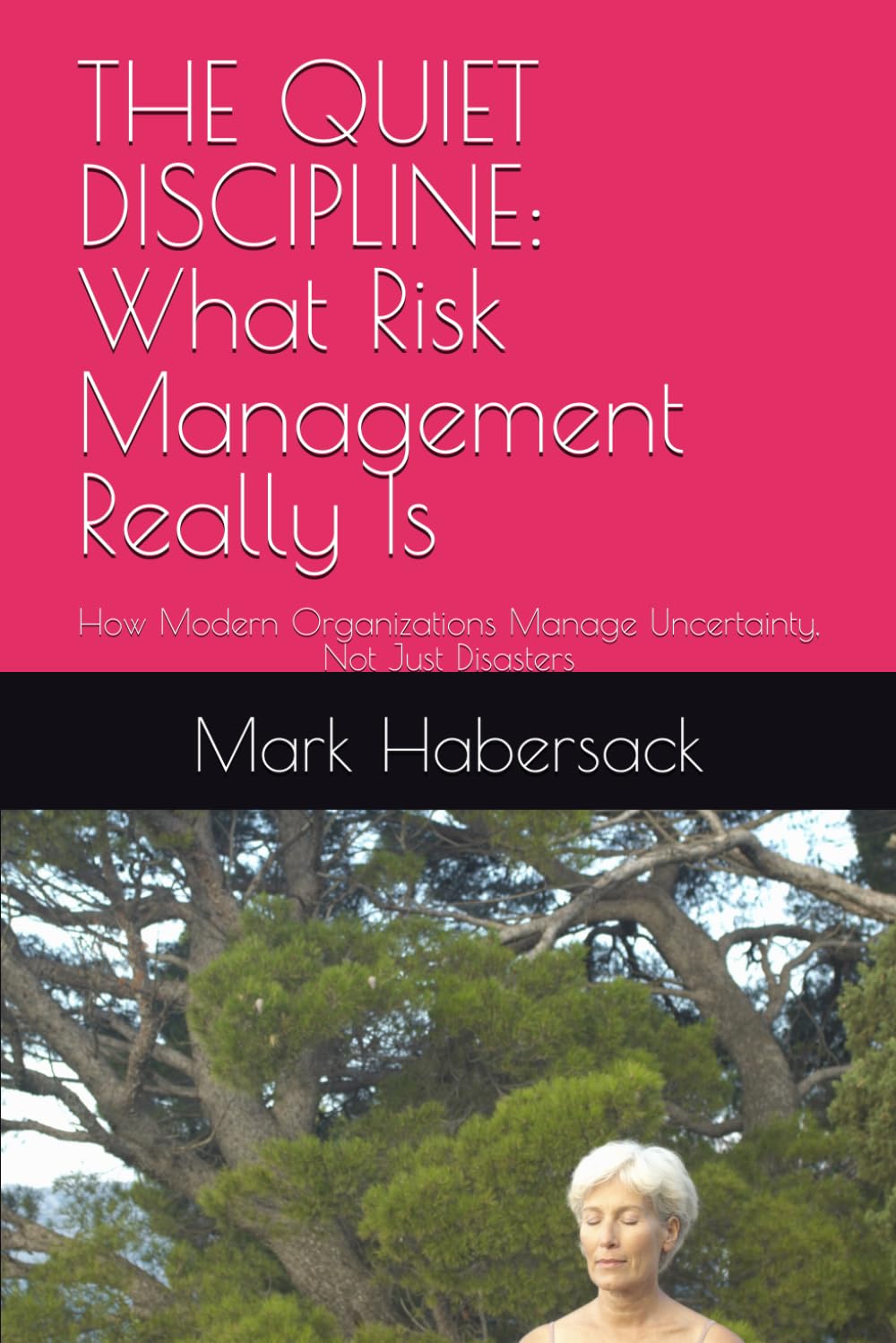 THE QUIET DISCIPLINE: What Risk Management Really Is: How Modern Organizations Manage Uncertainty, Not Just Disasters baixar o livro de graça