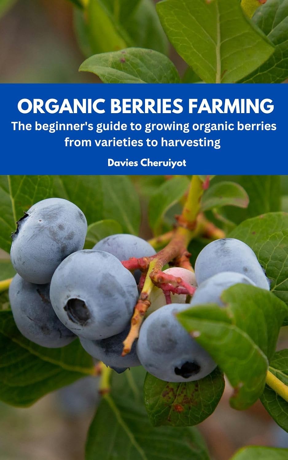 ORGANIC BERRIES FARMING: The beginner's guide to growing organic berries from varieties to harvesting (Fruits farming) (English Edition) baixar livro de graça