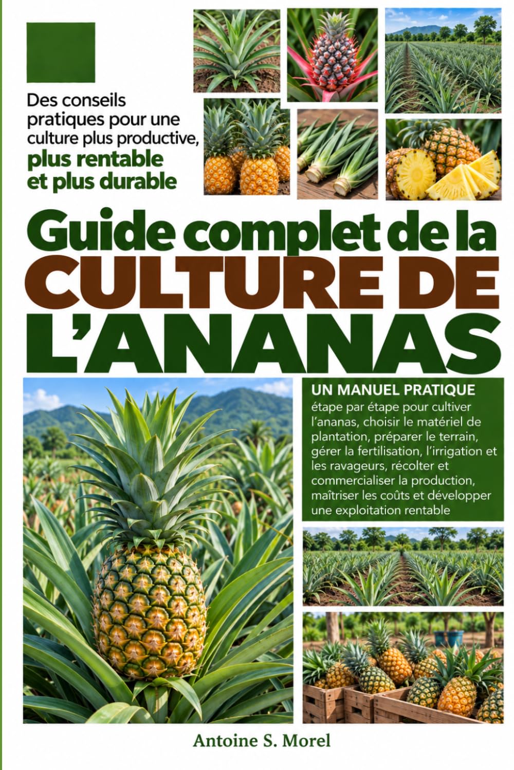 ler totalmente GUIDE COMPLET DE LA CULTURE DE L’ANANAS: Un manuel pratique étape par étape pour cultiver l’ananas, choisir le matériel de plantation, préparer le... et commercialiser la (French Edition)