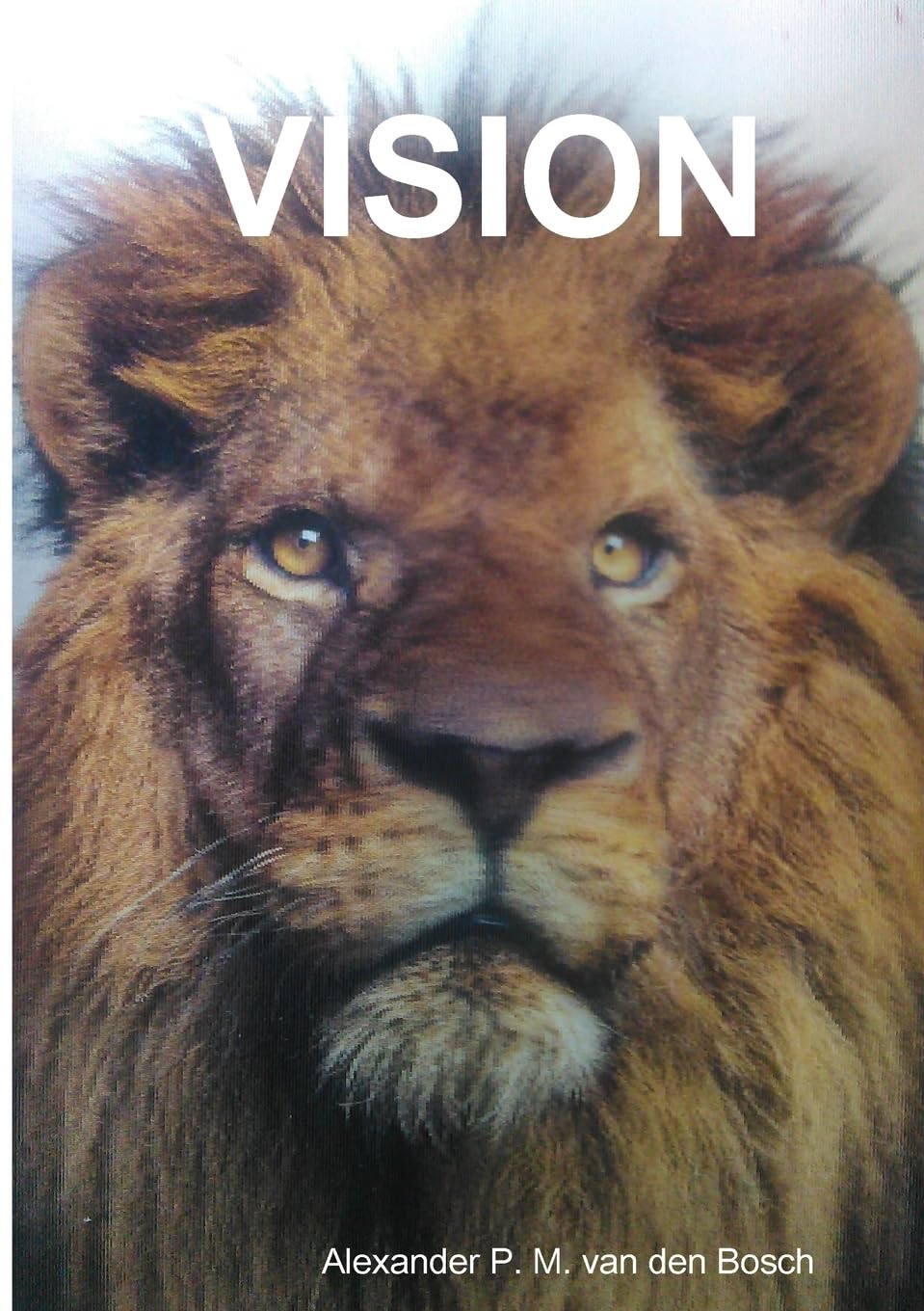 capítulo por capítulo baixar Vision