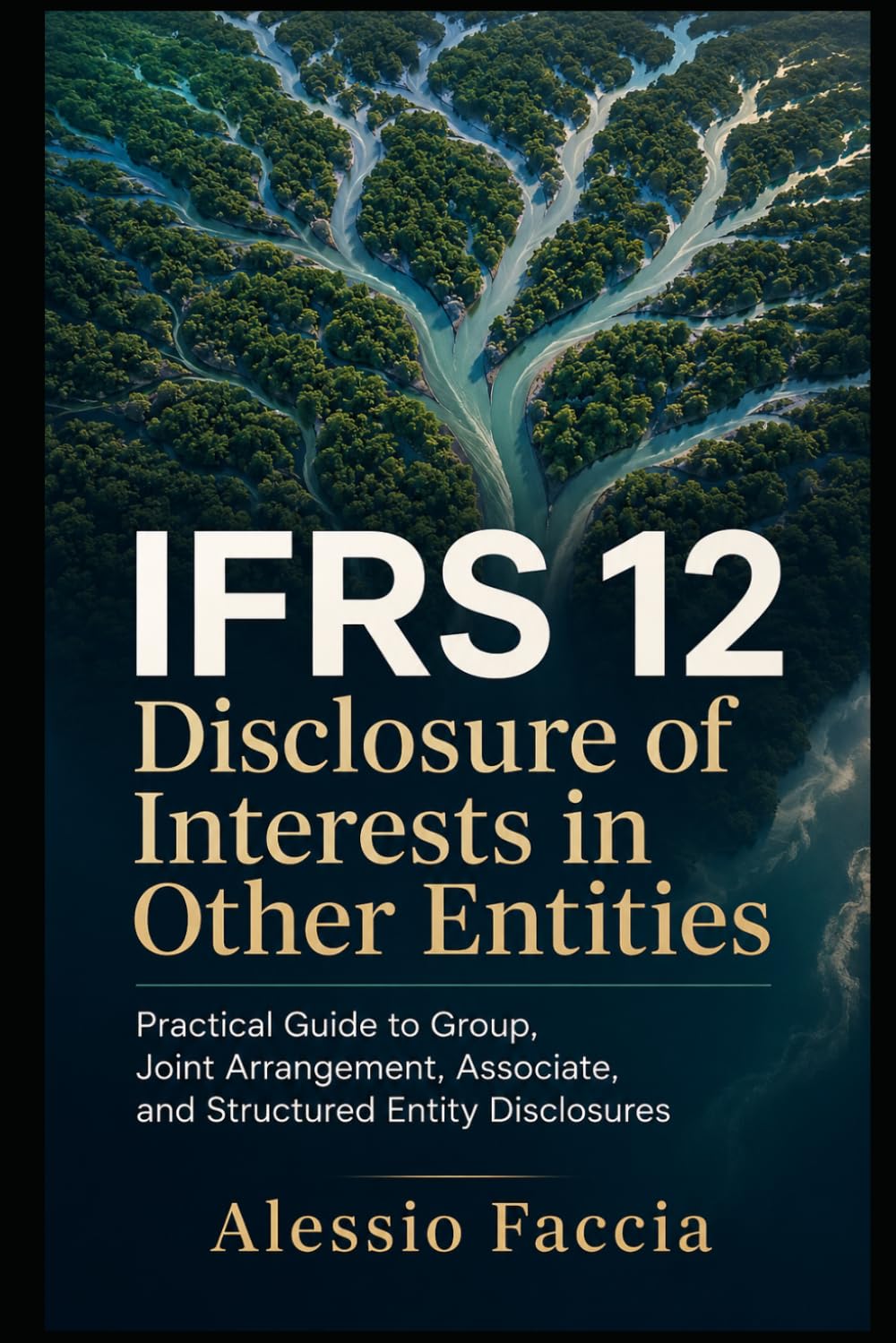 IFRS 12 Disclosure of Interests in Other Entities: Practical Guide to Group, Joint Arrangement, Associate, and Structured Entity Disclosures (IFRS... Valuation and Financial Reporting) baixar livro de graça