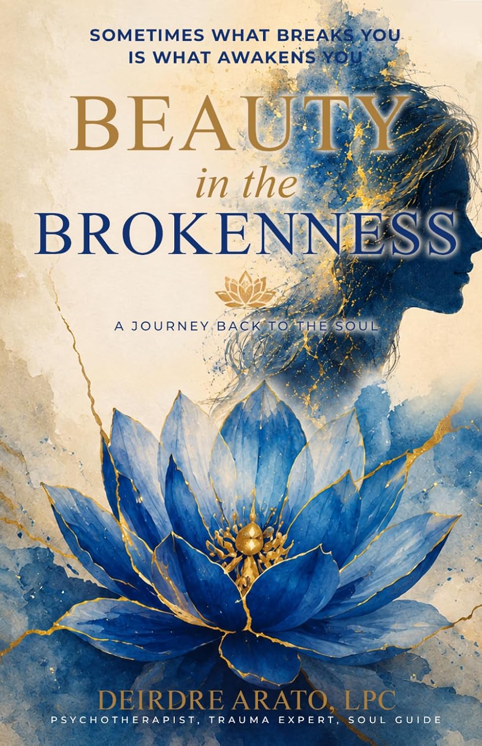 ler totalmente Beauty in the Brokenness: A Journey Back to the Soul