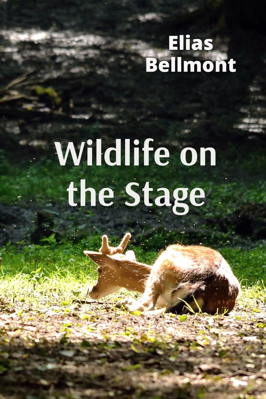 Wildlife on the Stage: Puppets,Masks, and Performing Animals in Theatrical Traditions Worldwide baixar o livro de graça