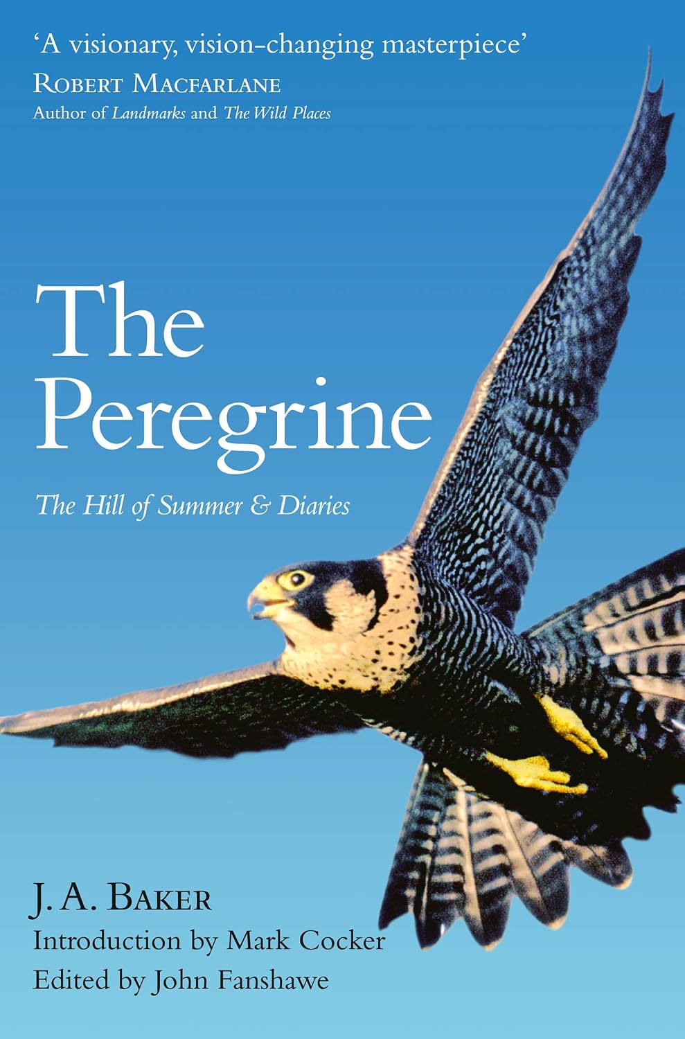 ler totalmente The Peregrine: The Hill of Summer & Diaries: the Complete Works of J. A. Baker