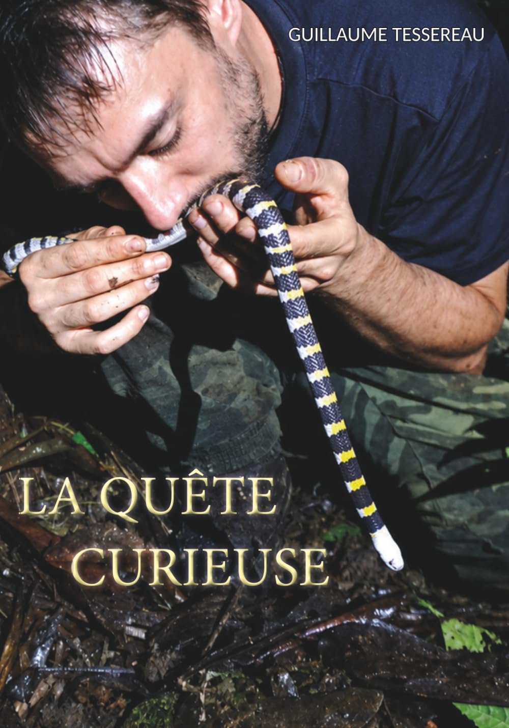capítulo por capítulo baixar La Quête Curieuse (French Edition)
