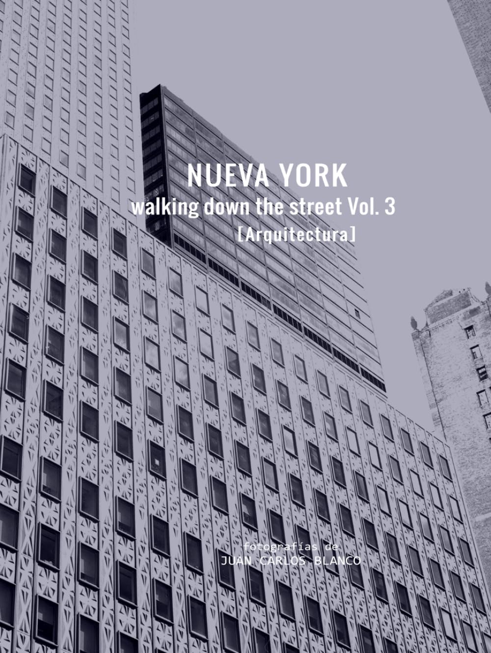capítulo por capítulo baixar Nueva York Walking Down the Street: Volumen 3 [Arquitectura] (Spanish Edition)