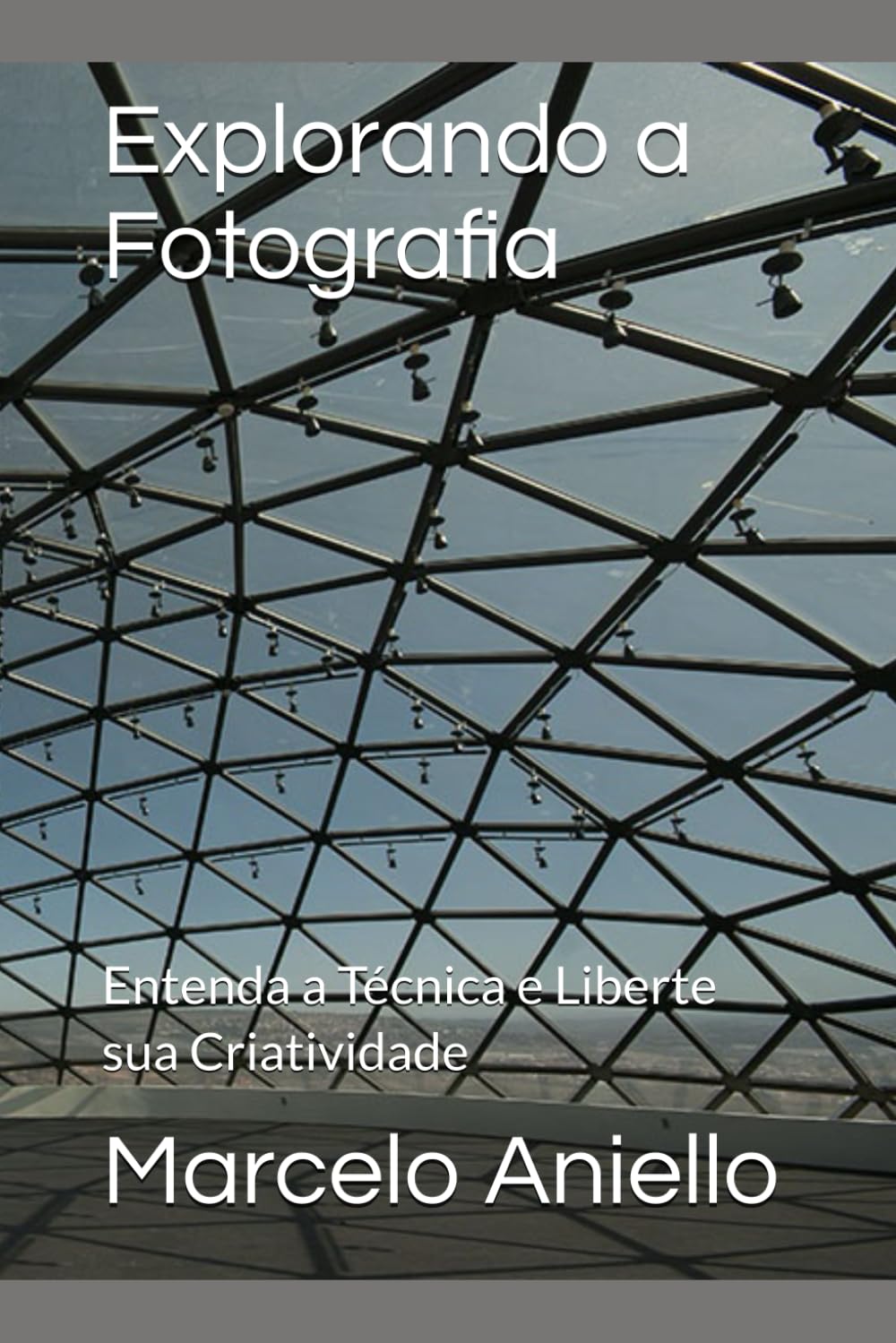 ler totalmente Explorando a Fotografia: Entenda a Técnica e Liberte sua Criatividade (Portuguese Edition)