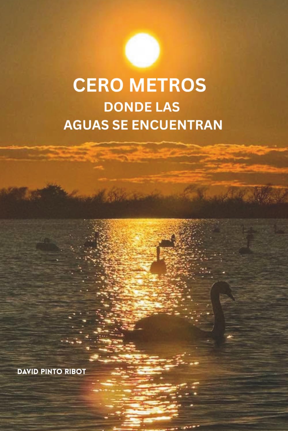 Cero Metros: Donde las Aguas se Encuentran (Spanish Edition) baixar o livro de graça