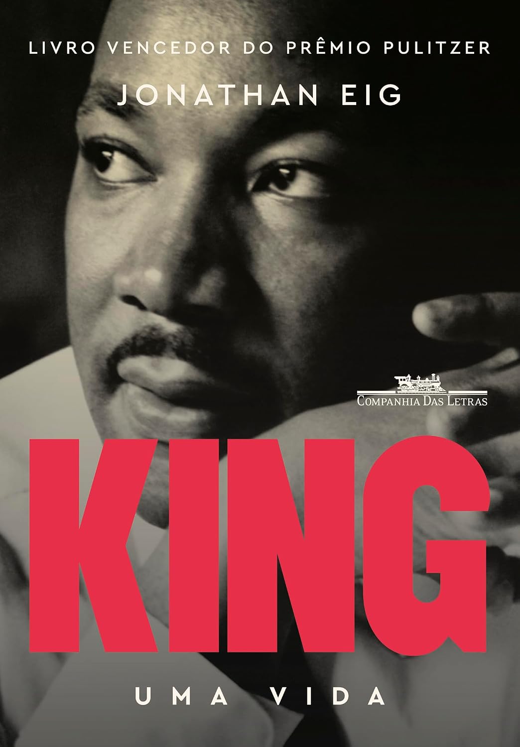 King: Uma vida baixar o livro de graça