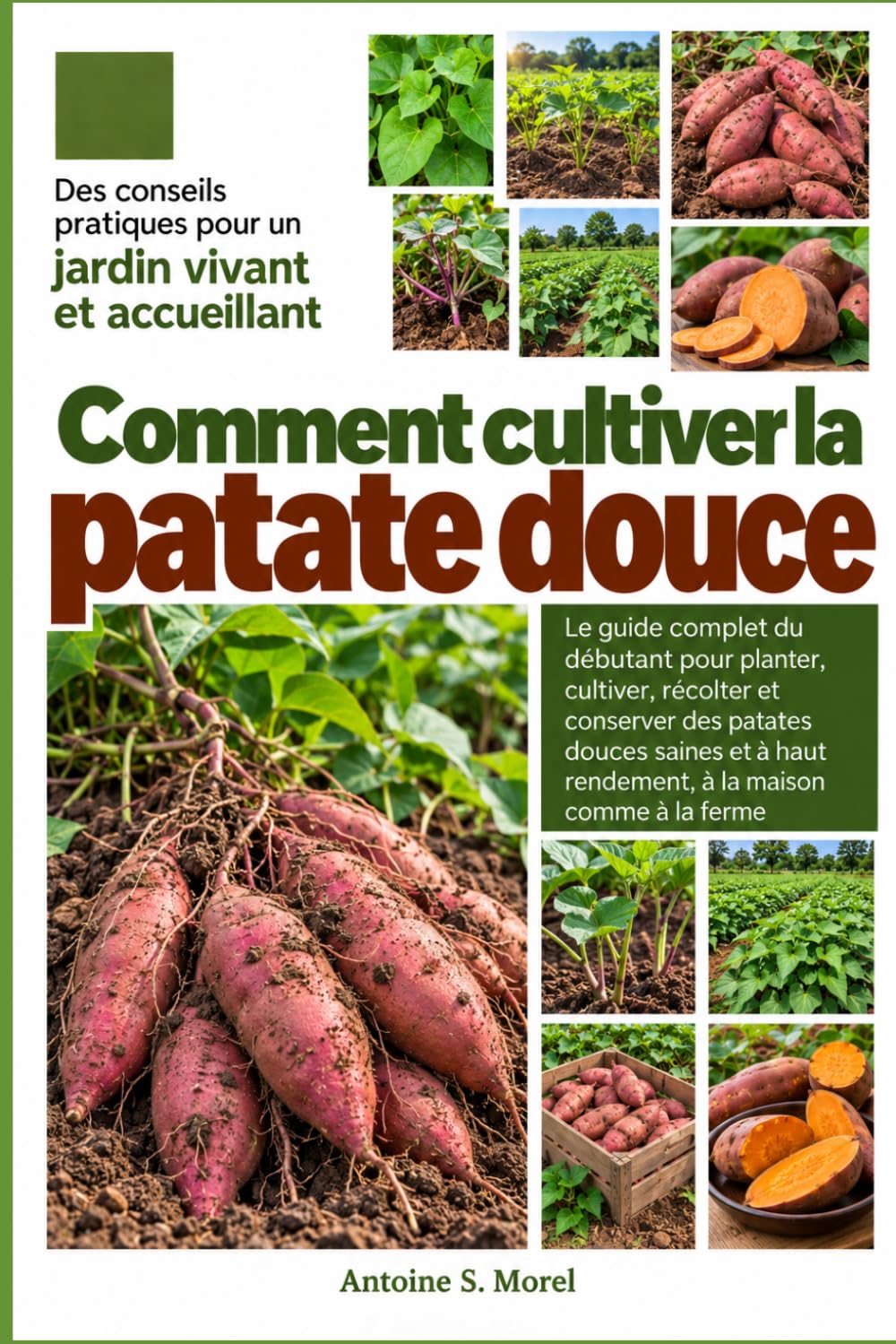 ler totalmente COMMENT CULTIVER LA PATATE DOUCE: Le guide complet du débutant pour planter, cultiver, récolter et conserver des patates douces saines et à haut... à la maison comme à la ferme (French Edition)