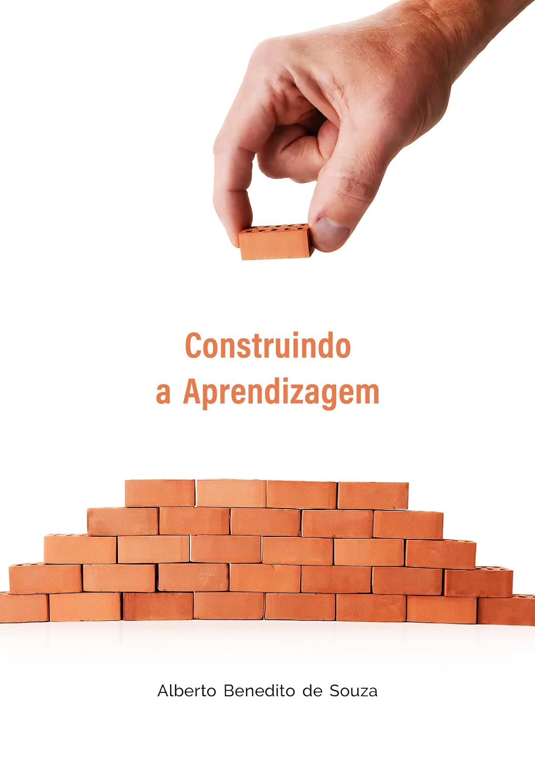 Construindo a aprendizagem baixar livro de graça