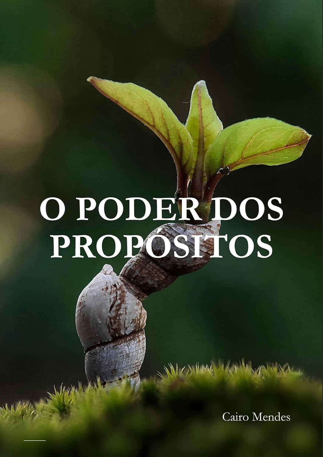 O Poder dos Propósitos baixar o livro de graça