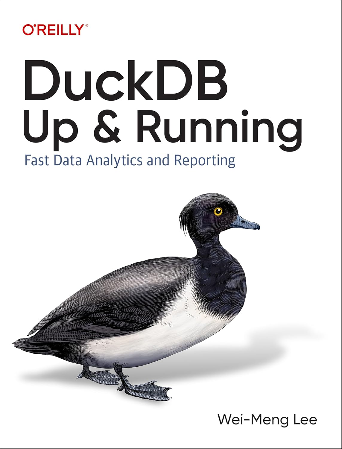 Duckdb: Up and Running: Fast Data Analytics and Reporting baixar livro de graça