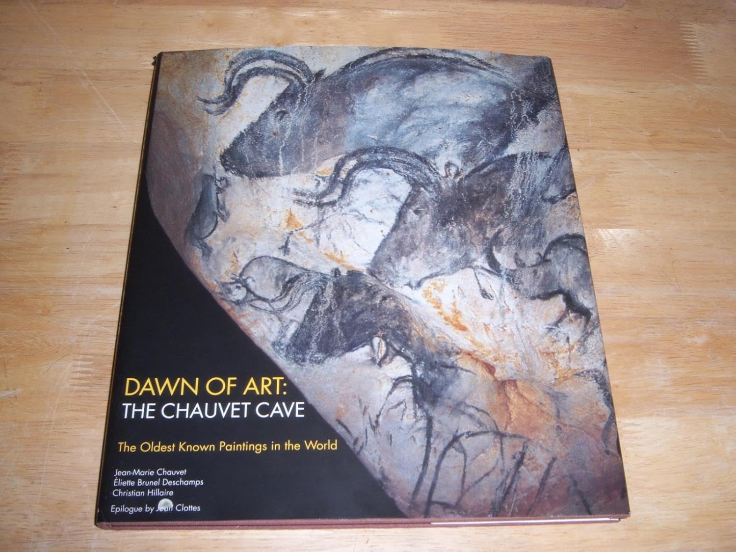 capítulo por capítulo baixar Dawn of Art: The Chauvet Cave: the Oldest Known Paintings in the World