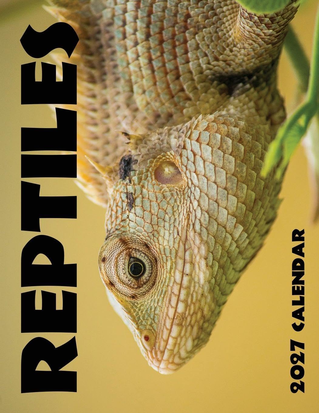 capítulo por capítulo baixar Reptiles 2027 Calendar