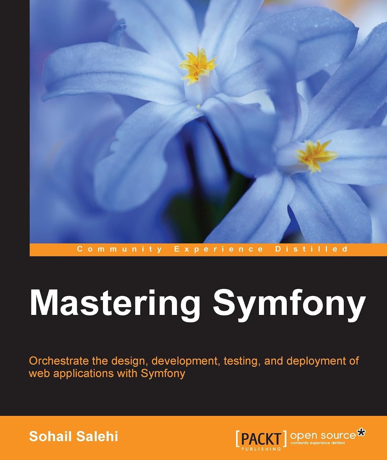 capítulo por capítulo baixar Mastering Symfony (English Edition)