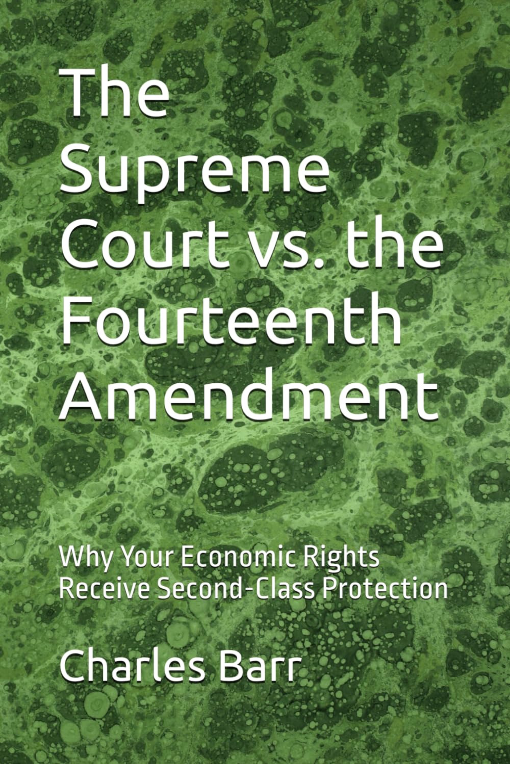 The Supreme Court vs. the Fourteenth Amendment: Why Your Economic Rights Receive Second-Class Protection baixar o livro de graça
